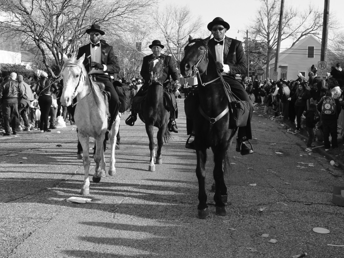 Mardi Gras Horsemen by Steve Joynt