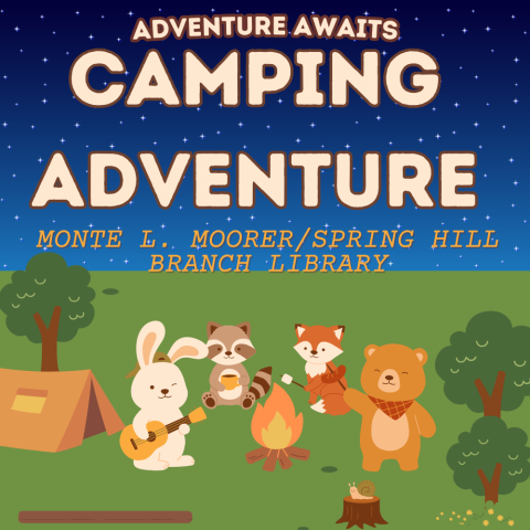 Camping Adventure at Moorer
