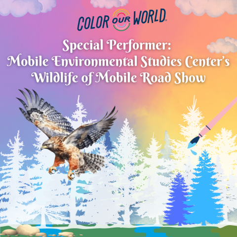 Special Performer: Mobile Environmental Studies Center’s Wildlife of Mobile Road Show
