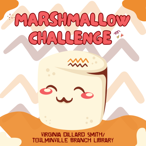 [TVLE] Marshmallow Challenge